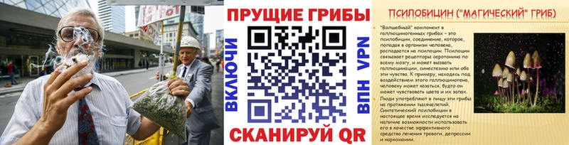 Галлюциногенные грибы Magic Shrooms  Купить закладки  Мышкин 